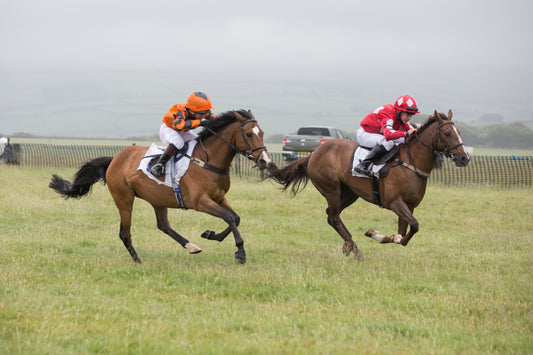 Pony Racing Finals Day 2019 at Bratton Down, Devon.