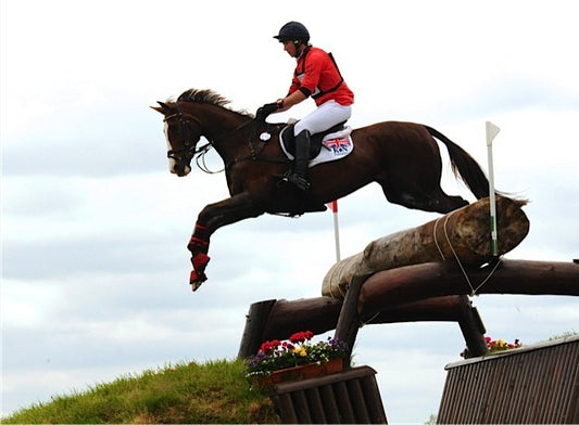 British Eventing World Class rider David Doel won the Advanced section at Belton International Horse