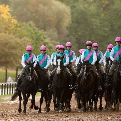 Treehouse provides 18 sets of Frankel colours....