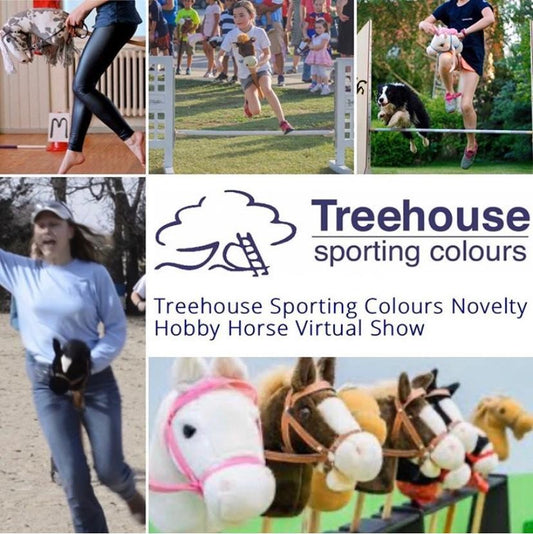 Hobby Horse and Virtual Dressage Competition fun!