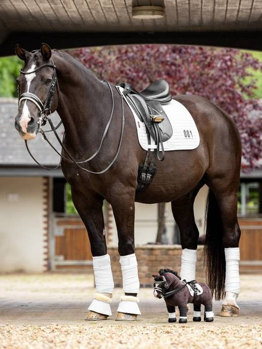 LeMieux Toy Pony Launch; Western, Racing & Dressage