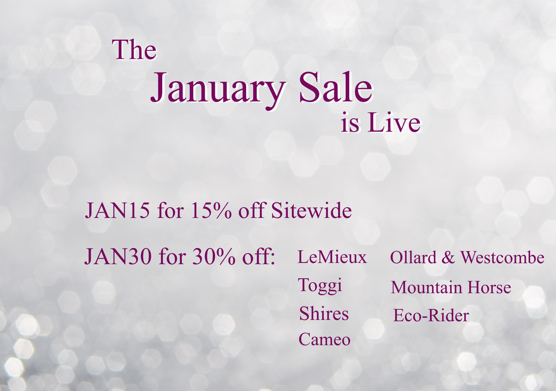 Happy New Year - January Sale