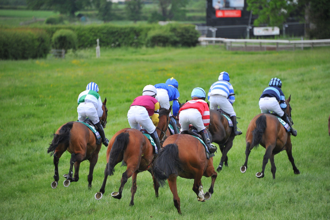 North West Region Pony Racing Prize Giving at Aintree!