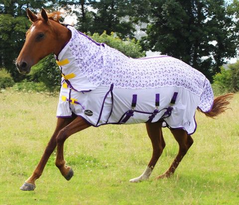 Fly Rug Bees & Butterflies All in One Combo by Gallop