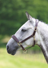 Velociti Gara Leather Travel Headcollar