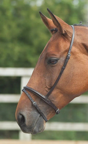 Flash Noseband