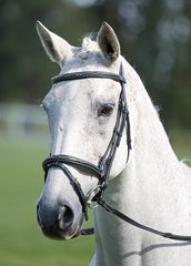 Avignon Padded Raised Flash Bridle