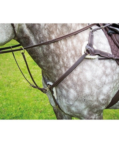 Salisbury Five Point Breastplate