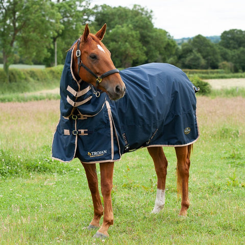 Gallop Trojan 100 Combo Turnout Rug