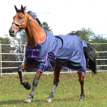 Trojan Lite-Weight Turnout Rug