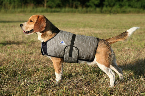 Hyperkewl Evaporative Cooling Dog Coats