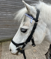 Cheshire Hunt South Pony Club Browband