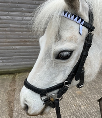 Cheshire Hunt South Pony Club Browband