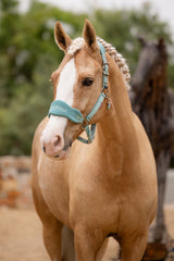 Vogue Headcollar & Rope