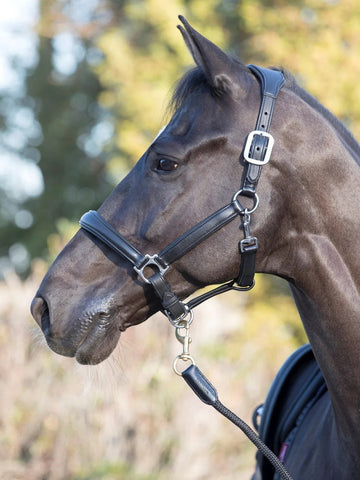 LeMieux Anatomic Headcollar