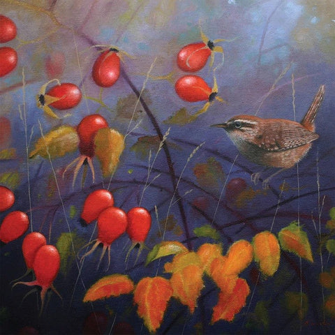 Bird Greeting Card - Autumn Wren