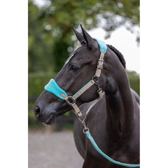 Vogue Headcollar & Rope