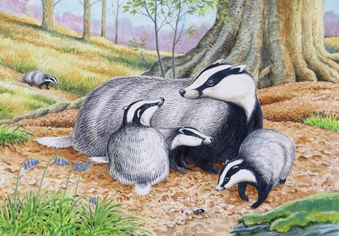 Wildlife Greeting Card - Badgers by David Thelwell