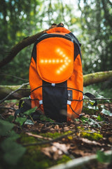 Fhoss Illuminated Rucksack