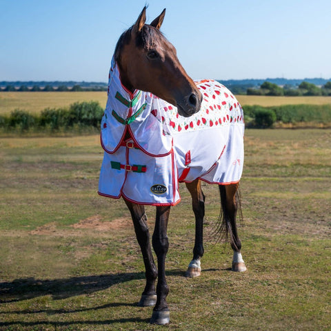 Gallop Berries & Cherries Combo Fly Rug