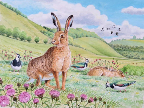 Wildlife Greeting Card - Brown Hare by David Thelwell