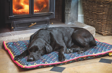 Digby & Fox Waterproof Dog Bed