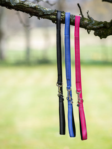 Henley Bungee Dog Lead