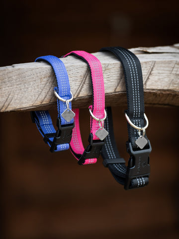 Henley Dog Collar