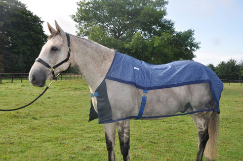 Aerochill Rug for Horses