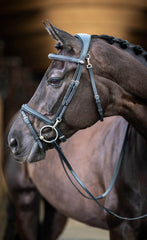 LeMieux Kudos Work Bridle