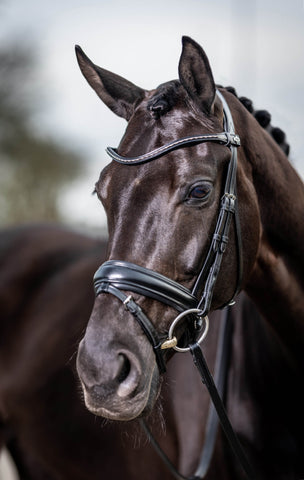 LeMieux Kudos Classic Dressage Bridle