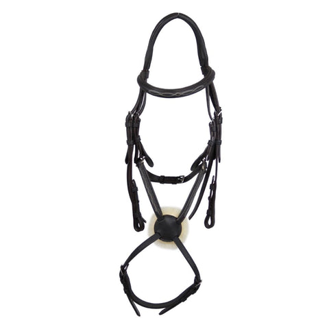 Eco Rider Galway Grackle Comfort Bridle