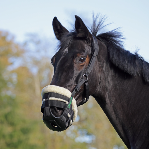 FreeGraze AirFlow Grazing Muzzle