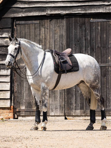 LeMieux Dressage Work Pad