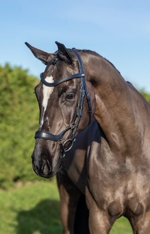 LeMieux Arika Drop Bridle