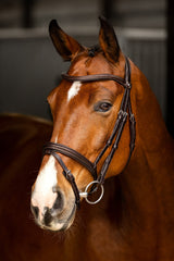 LeMieux Arika Flash Bridle