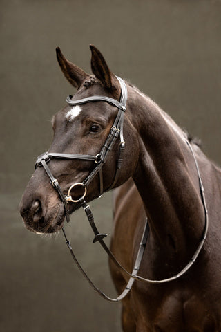 LeMieux Arika Grackle Bridle