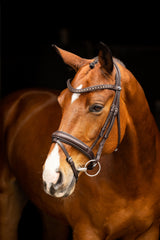 LeMieux Arika Dressage Bridle