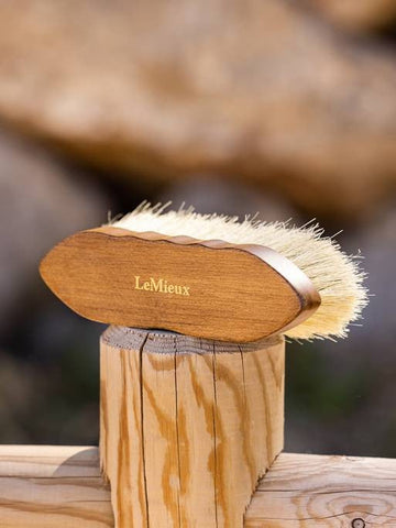 LeMieux Deep Clean Dandy Brush