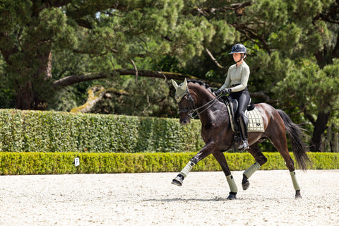 LeMieux Loire Classic Dressage Square