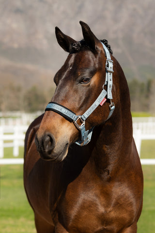 LeMieux Logo Headcollar