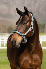 LeMieux Logo Headcollar