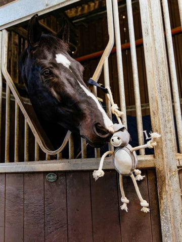 LeMieux Horse Toy - Donkey