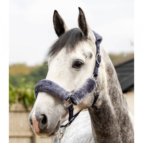 Comfort Headcollar by LeMieux