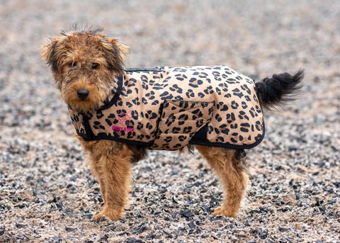 Digby & Fox Leopard Print Dog Coat