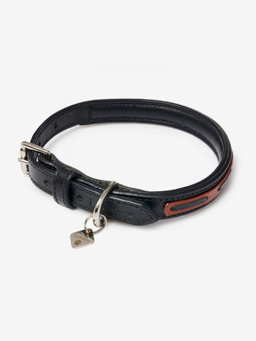 Cambridge Dog Collar