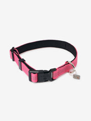 Henley Dog Collar