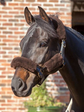 LeMieux Lambskin Headcollar Set