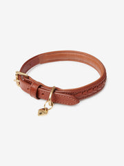 Oxford Dog Collar