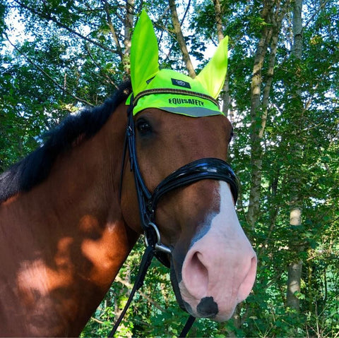 Charlotte Dujardin Reflective Mesh Ears by Equisafety